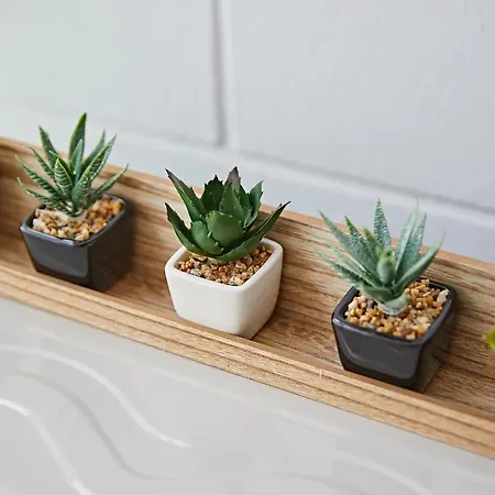 Apartment Cactus Sombrerudo- Bright Next To Yumbo *