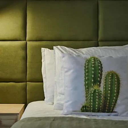 Apartment Cactus Sombrerudo- Bright Next To Yumbo